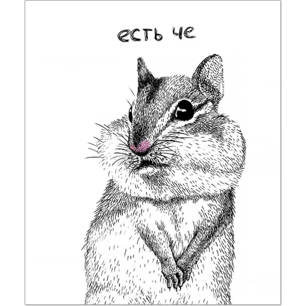 Zeszyt A5 - Żarty