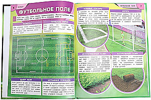 Piłka nożna
