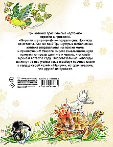 Koteczek Kurczaczek