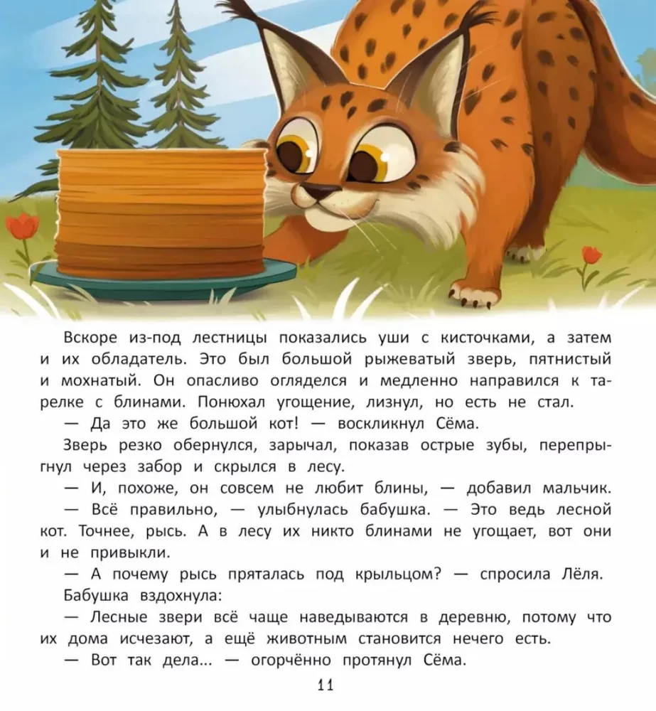 Kaip išsaugoti mišką?