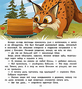 Kaip išsaugoti mišką?