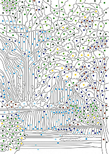 Rätselhafte Dschungel. Farben, Symbole, Zahlen