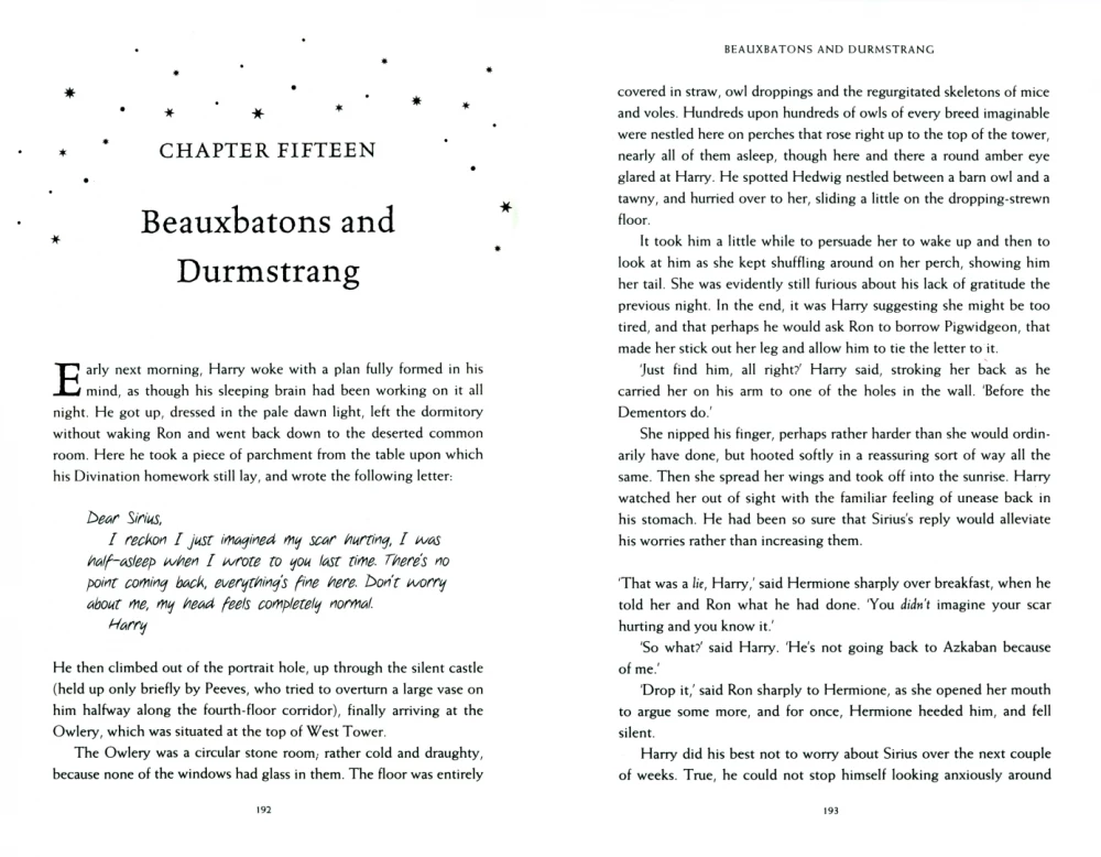 „Harry Potteris ir ugnies taurė“. Hufflepuff leidimas