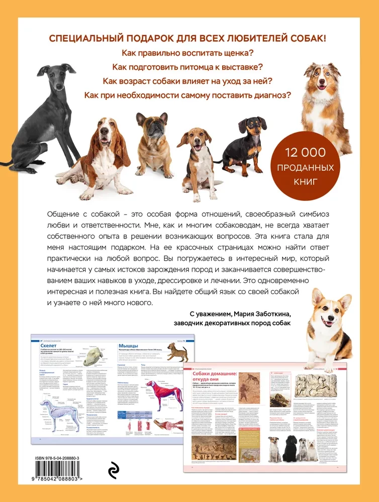 Psy. Ilustrowana encyklopedia na prezent
