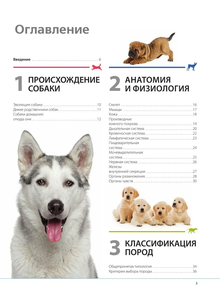 Psy. Ilustrowana encyklopedia na prezent
