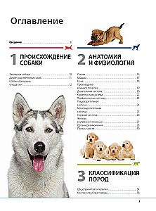 Psy. Ilustrowana encyklopedia na prezent
