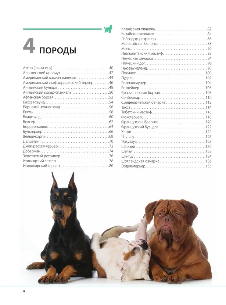 Psy. Ilustrowana encyklopedia na prezent