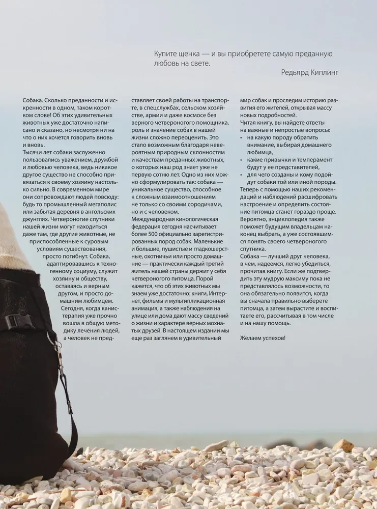 Psy. Ilustrowana encyklopedia na prezent