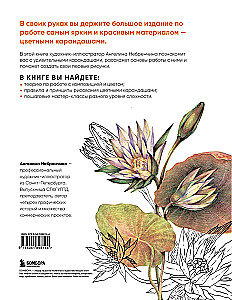 Большая книга цветных карандашей. Полное руководство по работе с нуля