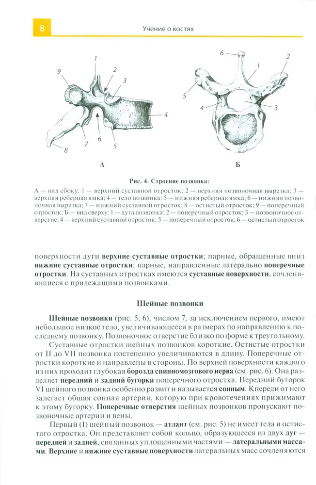 Atlas of Anatomy for Medical Colleges