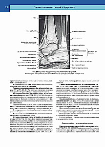 Atlas of Human Anatomy. Volume 1 of 3