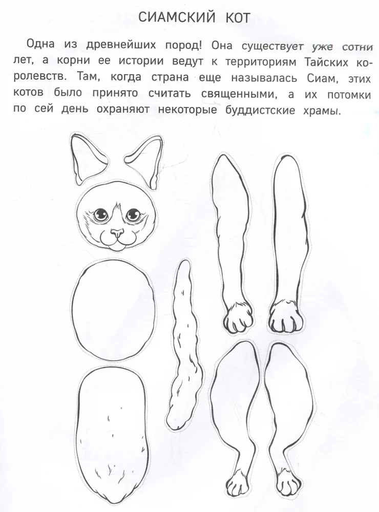 Papierkatzen. Ausschneiden, Ausmalen, Spielen. 12 fertige Schemen
