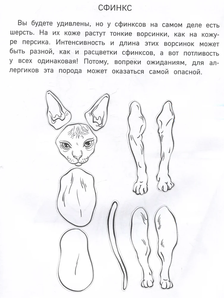 Papierkatzen. Ausschneiden, Ausmalen, Spielen. 12 fertige Schemen