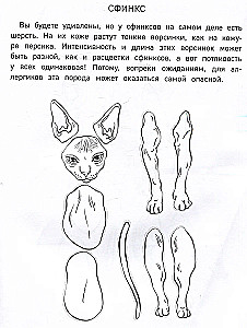 Papierkatzen. Ausschneiden, Ausmalen, Spielen. 12 fertige Schemen