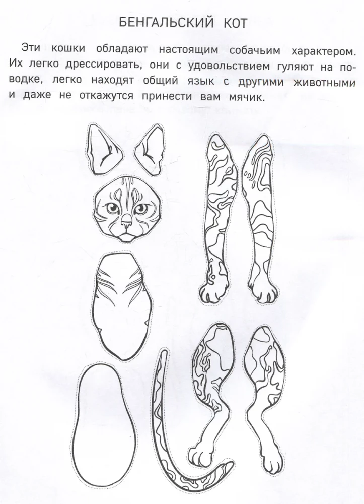 Papierkatzen. Ausschneiden, Ausmalen, Spielen. 12 fertige Schemen