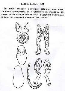 Papierkatzen. Ausschneiden, Ausmalen, Spielen. 12 fertige Schemen