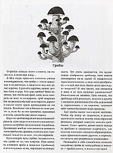 Gamtos mokslai