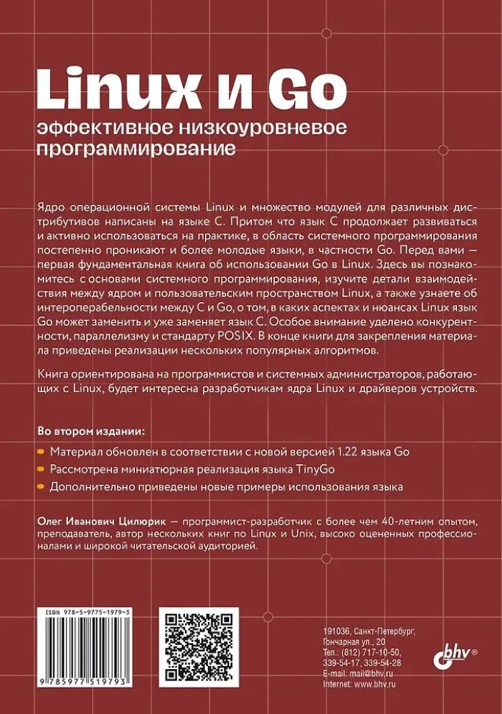 Linux i Go. Efektywne programowanie niskopoziomowe