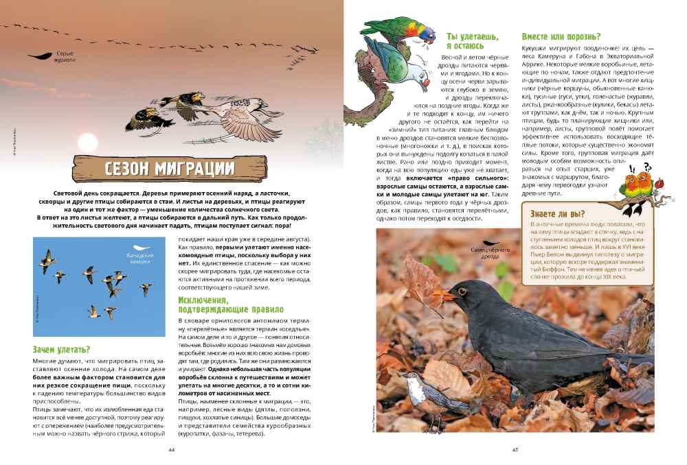 Ptaki w komiksach. Tom 3