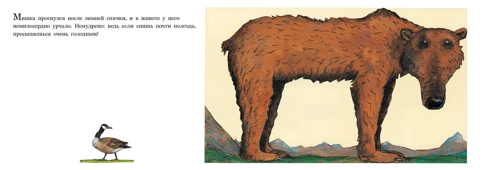 Meškos stebuklas