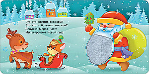 Žiemos pasaka. Taktilinė vystymosi knyga