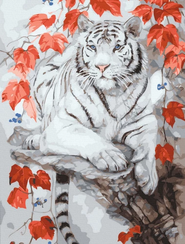 Glezna pēc numuriem - Bengāļu tīģeris, krāsains audekls, 40x30cm