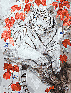 Painting by numbers - Bengal tiger, color canvas, 40x30cm