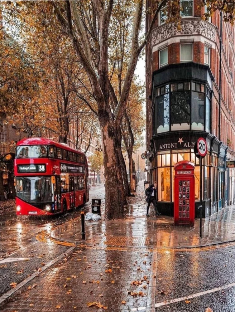 Paint by Numbers - Autumn London