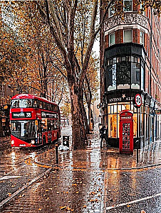 Paint by Numbers - Autumn London