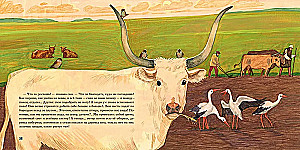 Historia roku