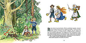 Fir
