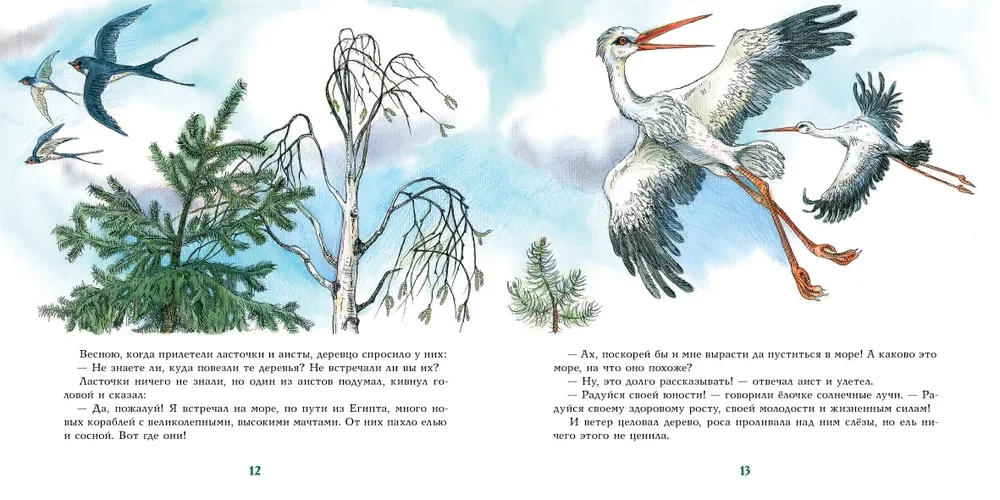 Fir