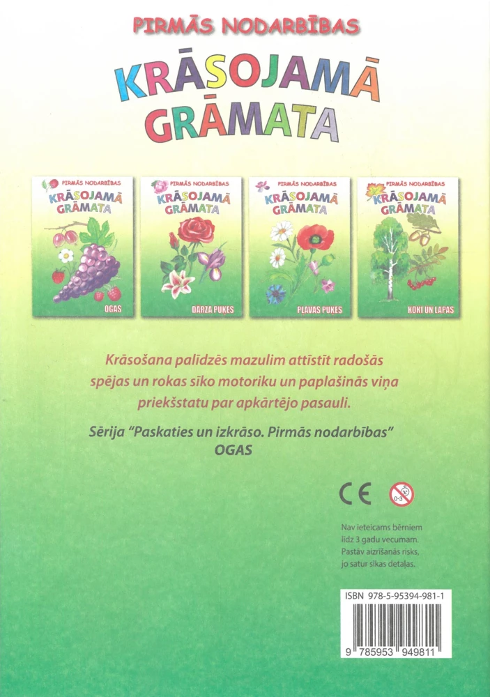 Malbuch - Beeren