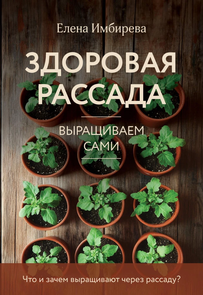 Здоровая рассада. Выращиваем сами