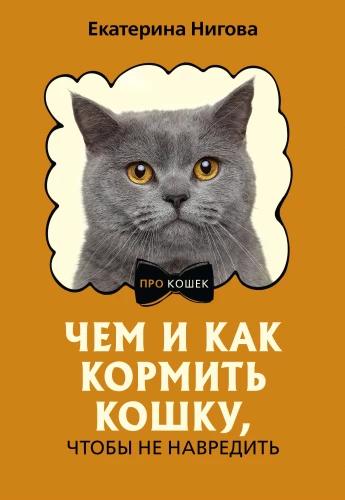 Kuo ir kaip šerti katę, kad nepakenkti