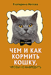 Czym i jak karmić kota, żeby mu nie zaszkodzić