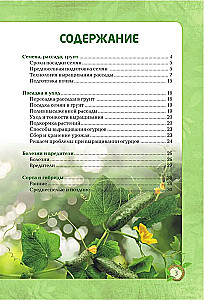 Agurkai. Turtingas derlius be klaidų