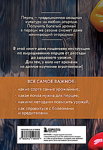 Paprika. Gausus derlius be klaidų