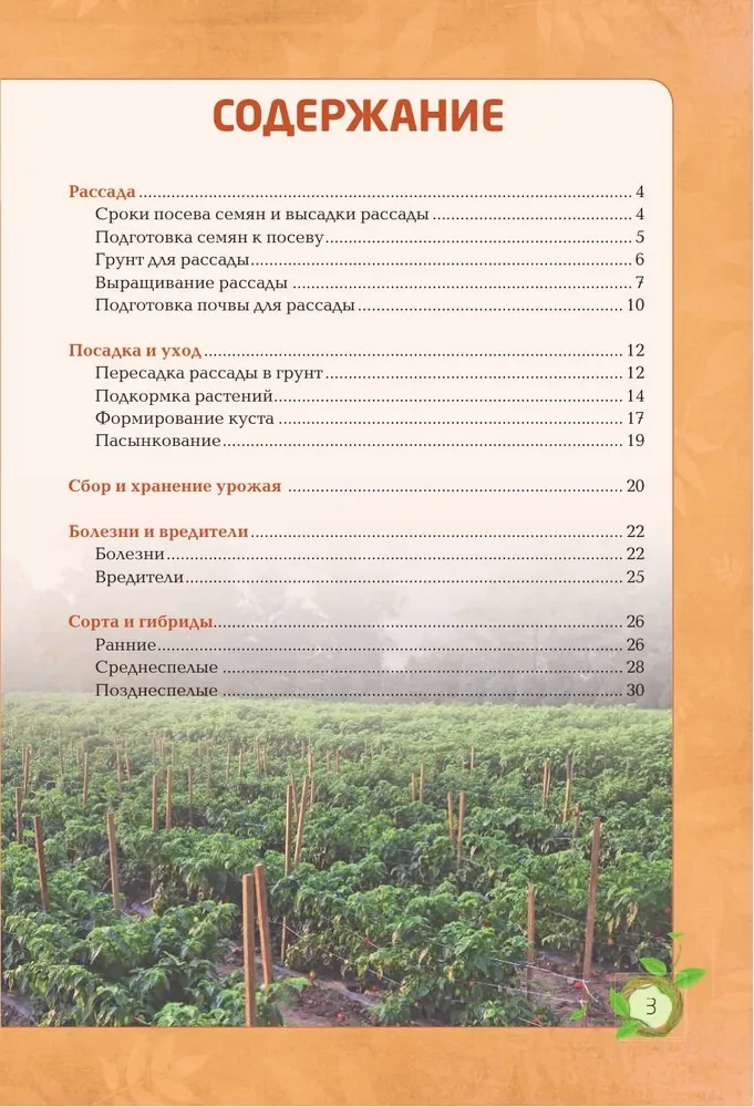 Paprika. Gausus derlius be klaidų