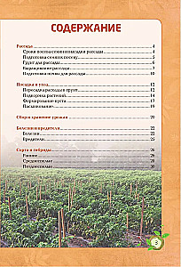 Paprika. Gausus derlius be klaidų