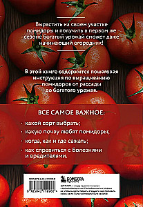 Pomidorai. Turtingas derlius be klaidų