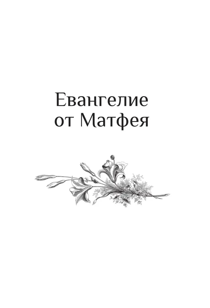 Püha Evangeelium Gustave Doré illustreerimisega
