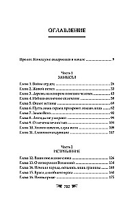 Крылья возмездия