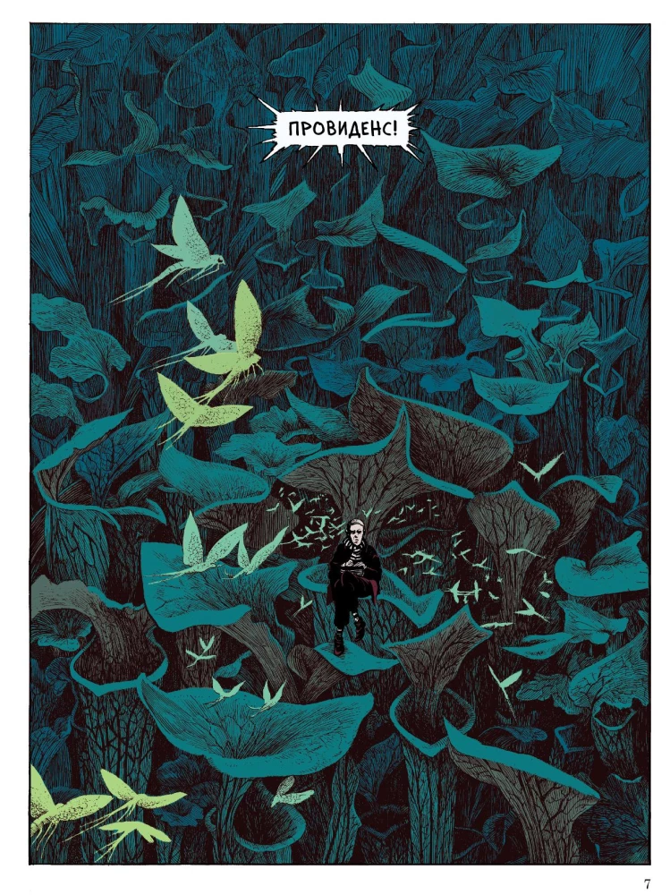 Tolle Illustratoren (Set von 3 Comics)