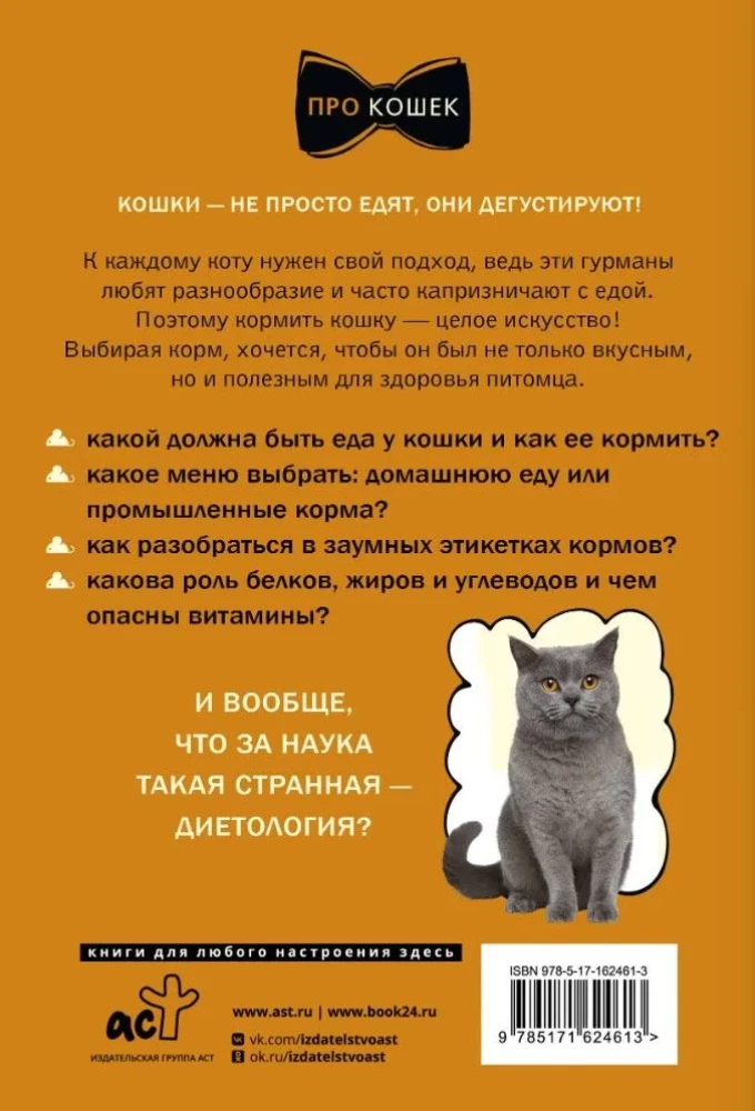 Czym i jak karmić kota, żeby mu nie zaszkodzić