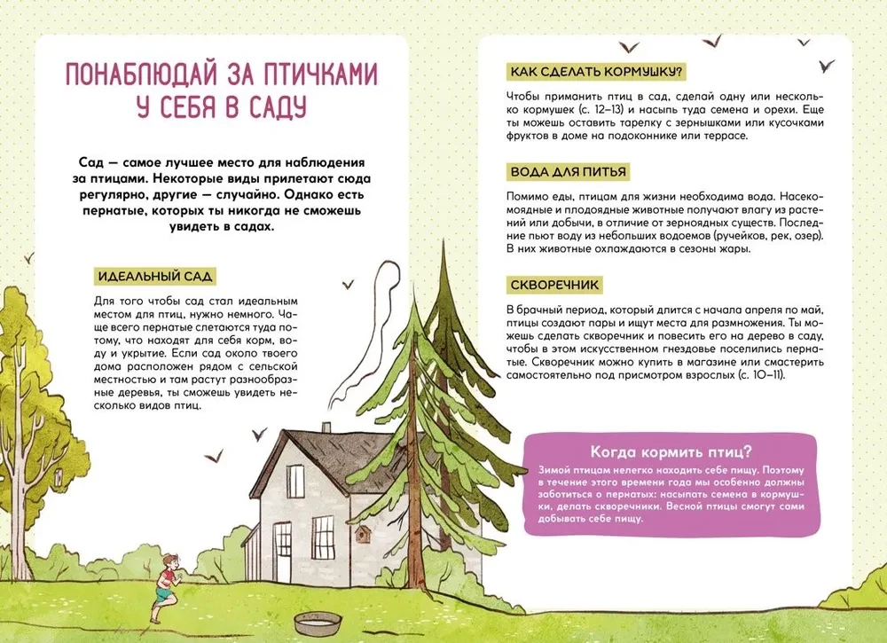 Птицы