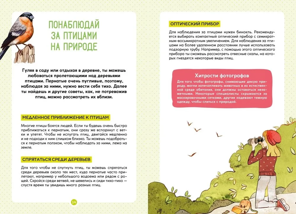 Птицы
