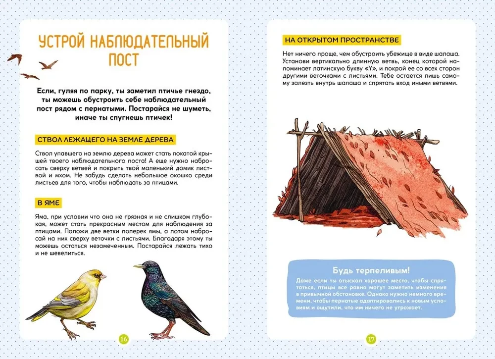 Птицы