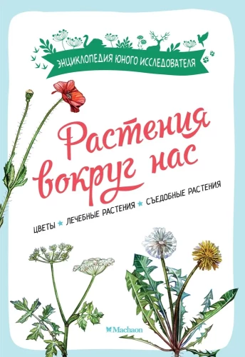 Pflanzen um uns herum