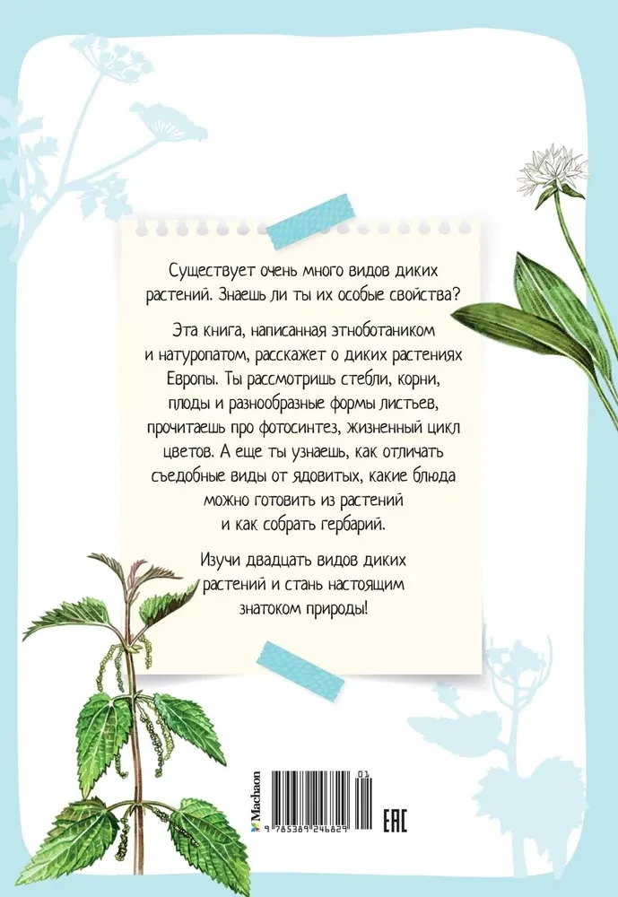 Rośliny wokół nas